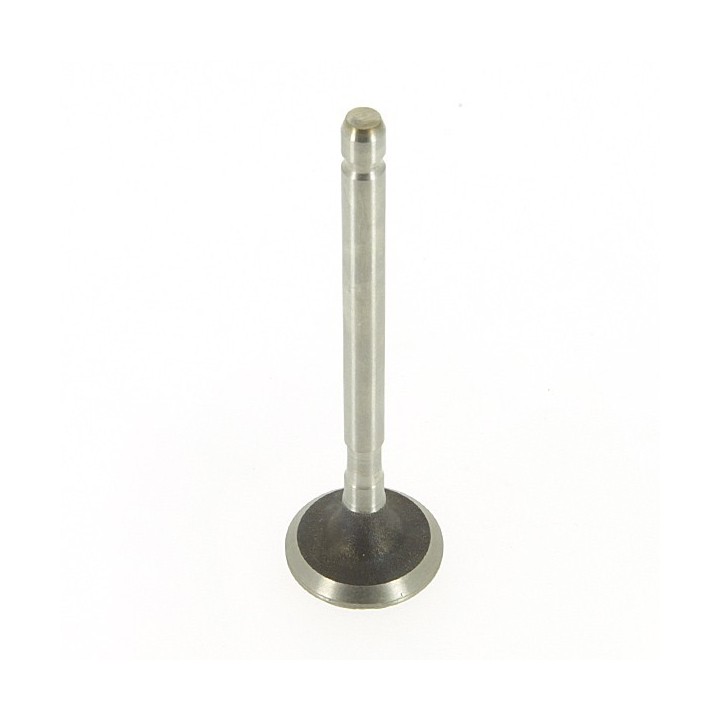 Soupape Adm. pour moteur Briggs et Stratton 390419