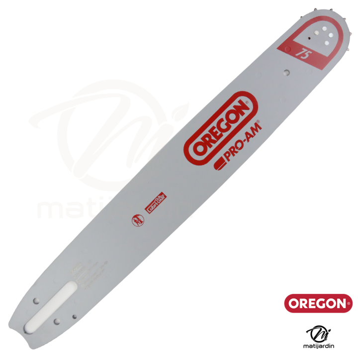 Guide tronçonneuse Oregon 40 cm. 3/8" 1,6 mm 60 maillons 163SFHD025 Pro Am