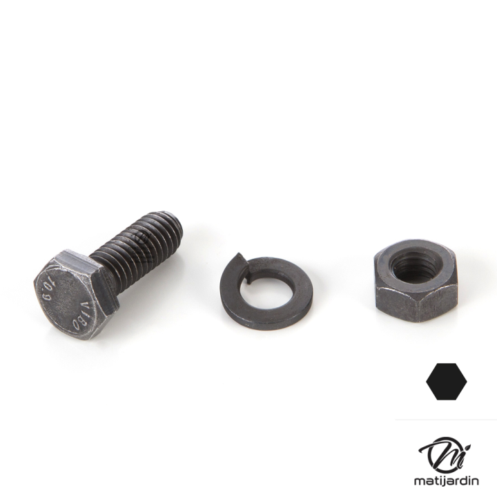 Vis de lame pour Wolf. Ø 6 mm