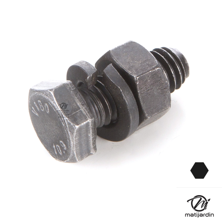 Vis de lame pour Wolf. Ø 6 mm