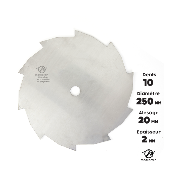 Lame disque 10 dents débroussailleuse. Ø 250 mm. Alésage 20 mm. Epaisseur 2 mm