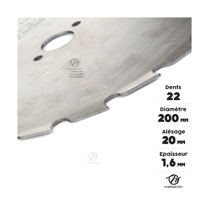 Lame disque 22 dents débroussailleuse. Gouges. Ø 200 mm. Alésage 20 mm. Epaisseur 1,6 mm