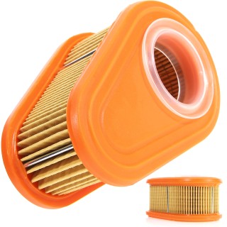 Filtre à air pour moteur Briggs & Stratton 792038