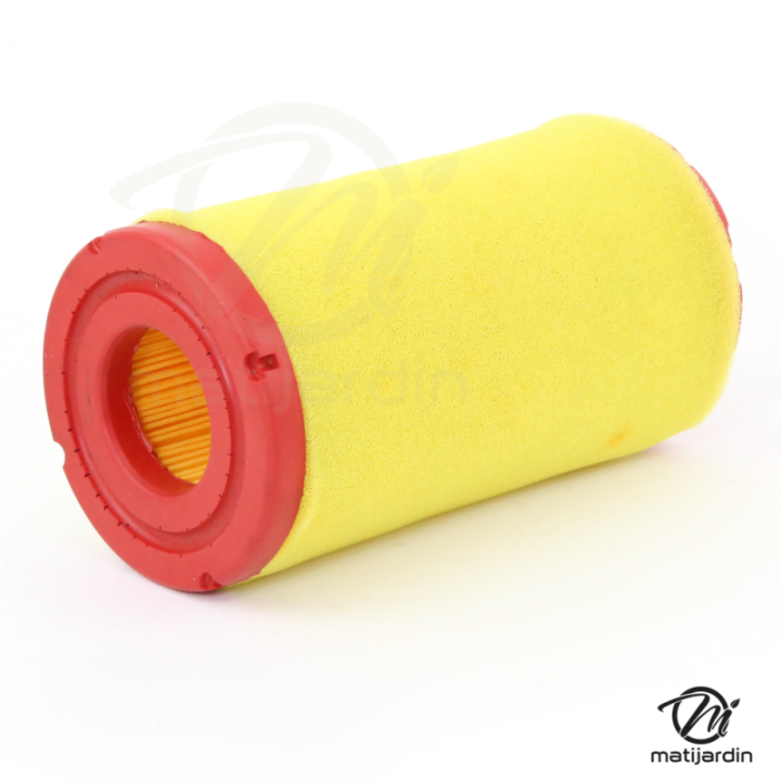 Filtre à air pour moteur Briggs & Stratton 793569