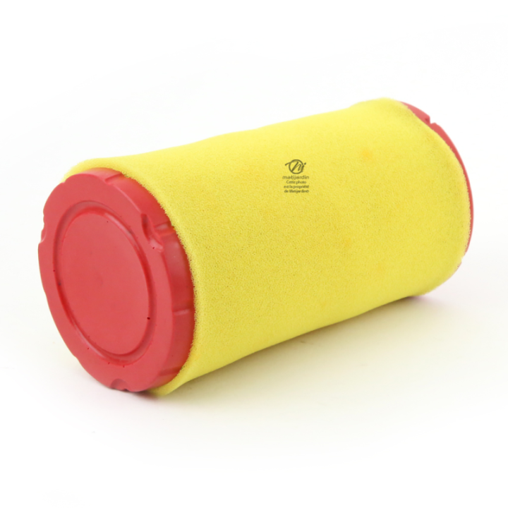 Filtre à air pour moteur Briggs & Stratton 793569