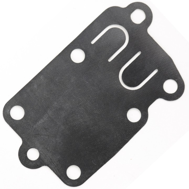 Kit membrane carburateur pour Briggs & Stratton 272538