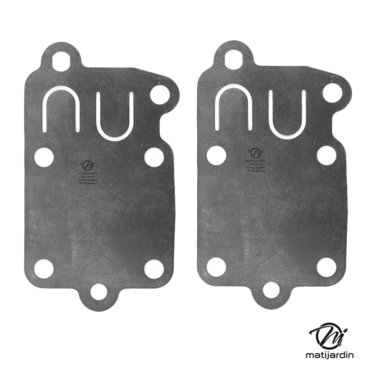 Kit membrane carburateur pour Briggs & Stratton 272538