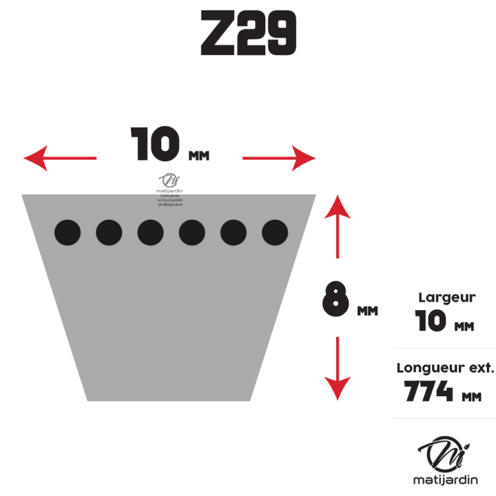 Courroie tondeuse Trapézoïdale Z29 - 10 mm x 774 mm