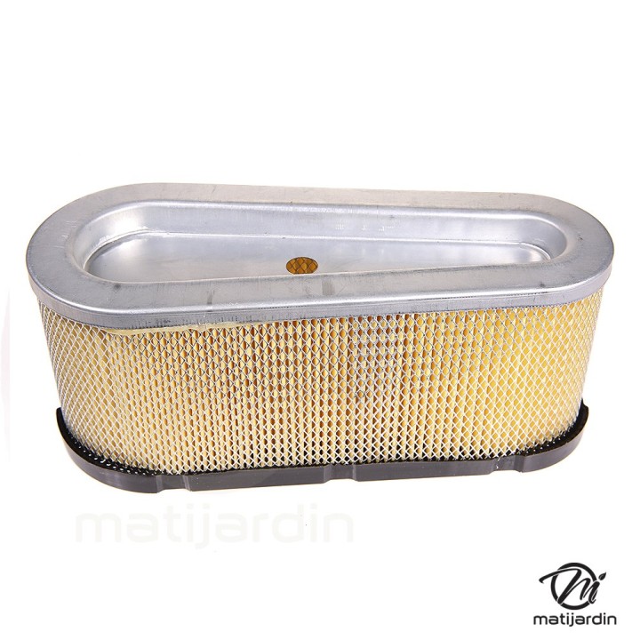 Filtre à air adaptable pour moteur Briggs & Stratton N° 493909, 496894