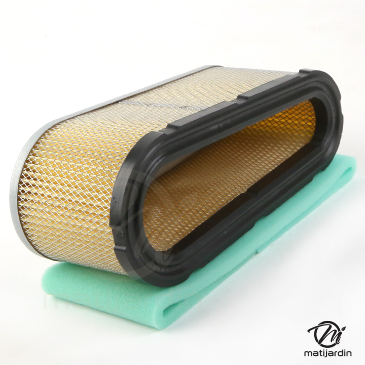 Filtre à air adaptable pour moteur Briggs & Stratton N° 493909, 496894