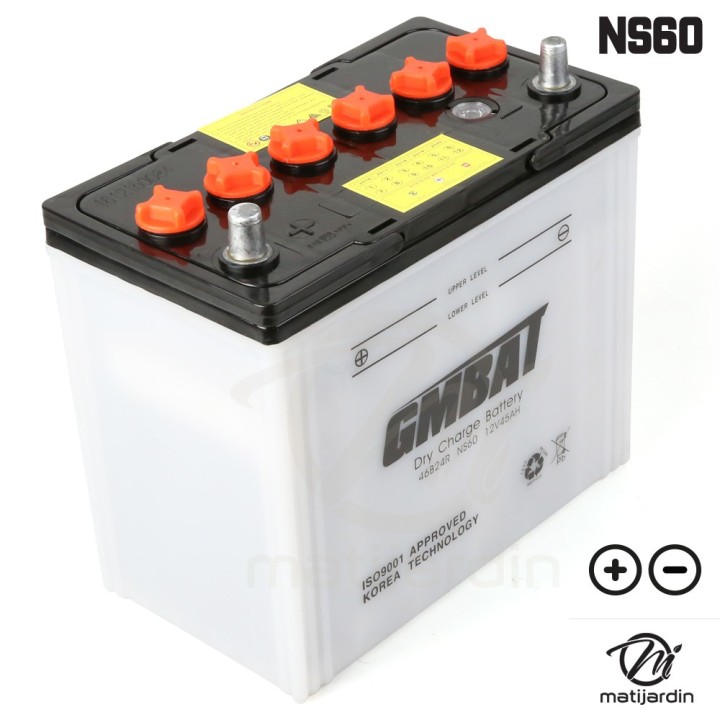 Batterie tondeuse NS60 + acide