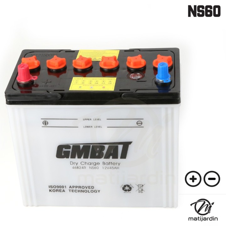 Batterie tondeuse NS60 + acide