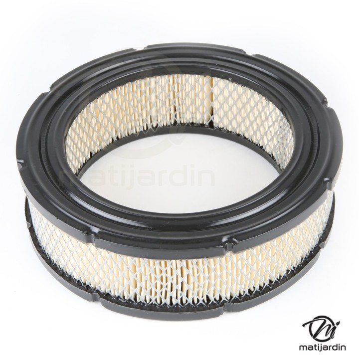Filtre à air pour Briggs & Stratton 806232, 692519