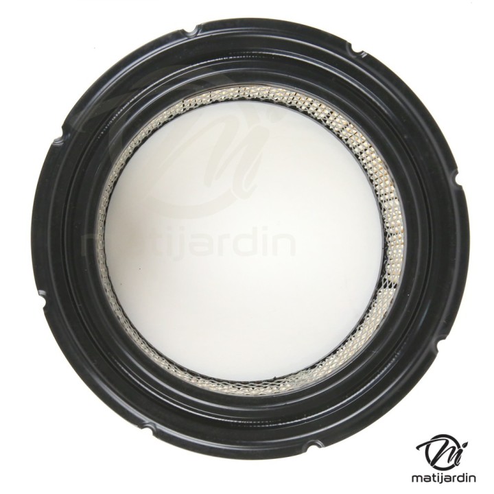 Filtre à air pour Briggs & Stratton 806232, 692519