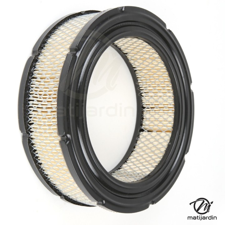 Filtre à air pour Briggs & Stratton 806232, 692519