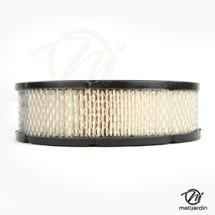 Filtre à air pour Briggs & Stratton 806232, 692519