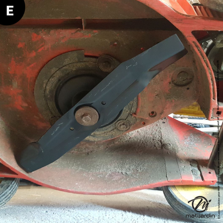 Lame tondeuse pour Wolf 171046 coupe 46 cm