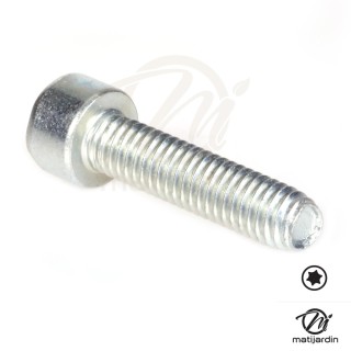 Vis Torx 27 M6 x 25 pour tronçonneuse Stihl 024 MS240