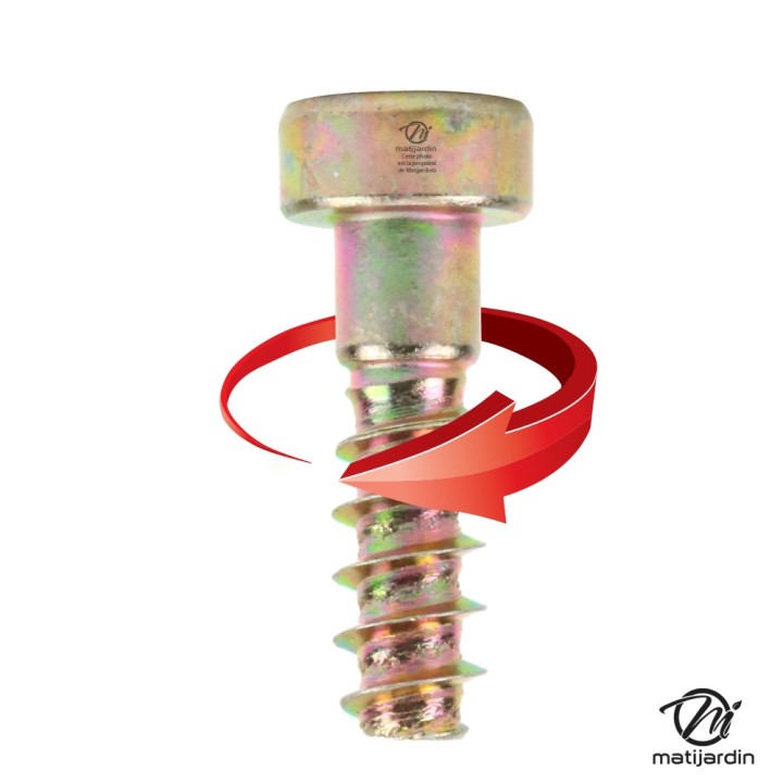 Vis torx pour tronçonneuse Stihl MS650