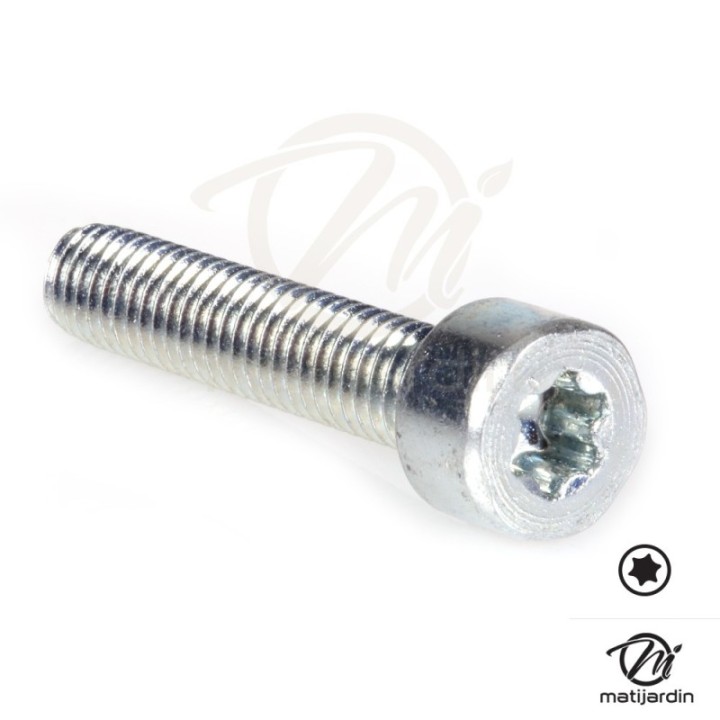 Vis Torx 27 M6 x 30 pour tronçonneuse Stihl MS311 MS391