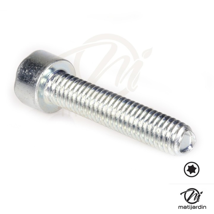 Vis Torx 27 M6 x 30 pour tronçonneuse Stihl 028