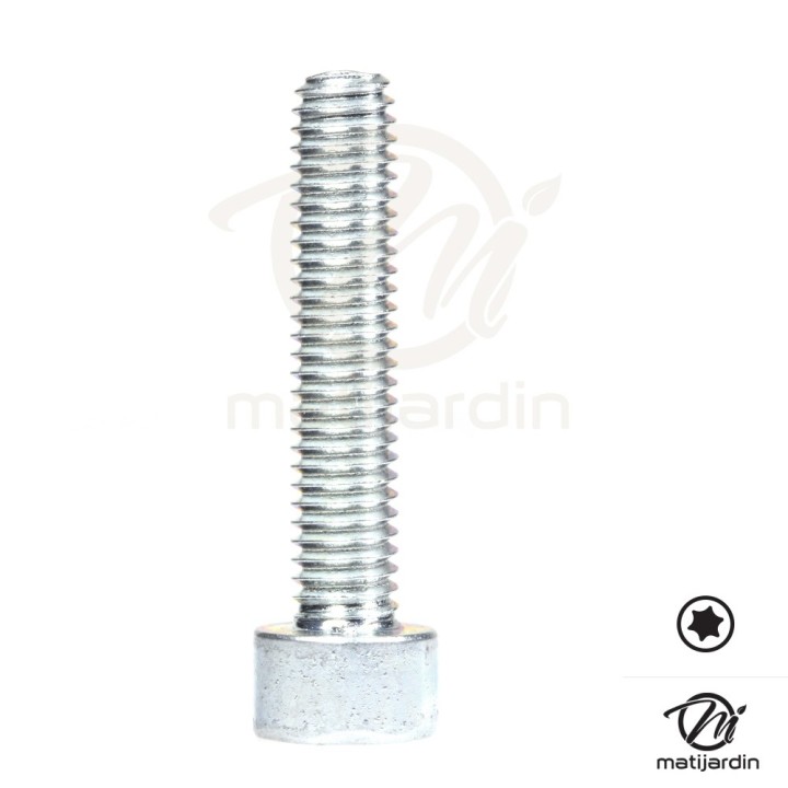 Vis Torx 27 M6 x 30 pour tronçonneuse Stihl 020AV