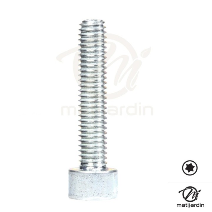 Vis Torx 27 M6 x 30 pour tronçonneuse Stihl MS311 MS391