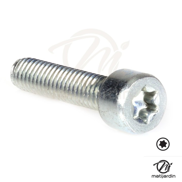 Vis Torx 27 M6 x 25 pour tronçonneuse Stihl MS251