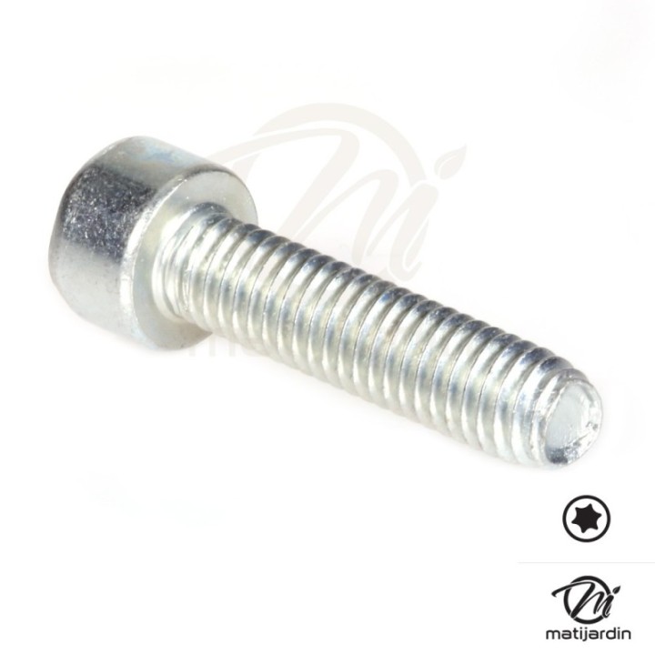 Vis Torx 27 M6 x 25 pour tronçonneuse Stihl 025 MS250