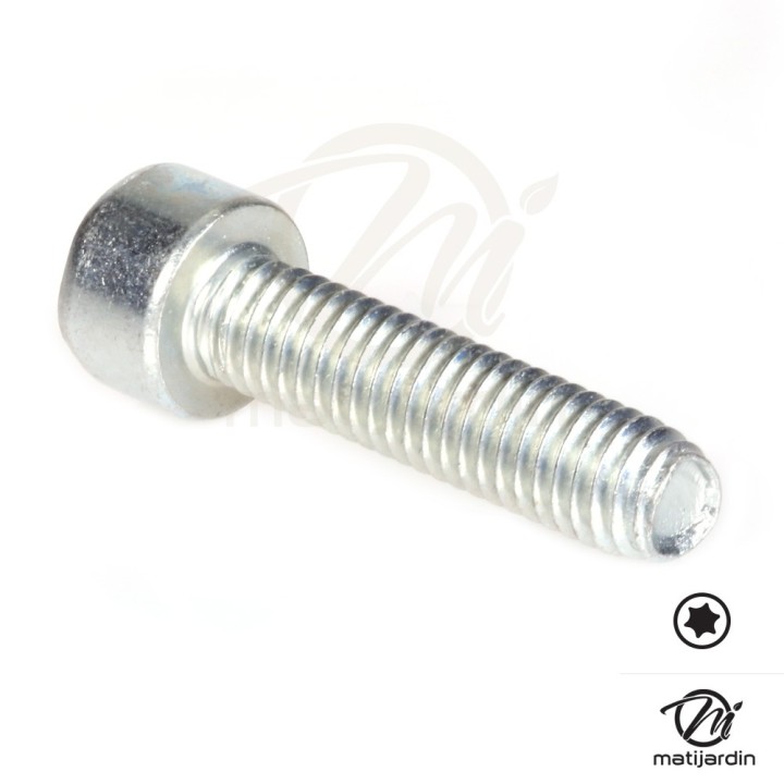 Vis Torx 27 M6 x 25 pour tronçonneuse Stihl MS191 MS192
