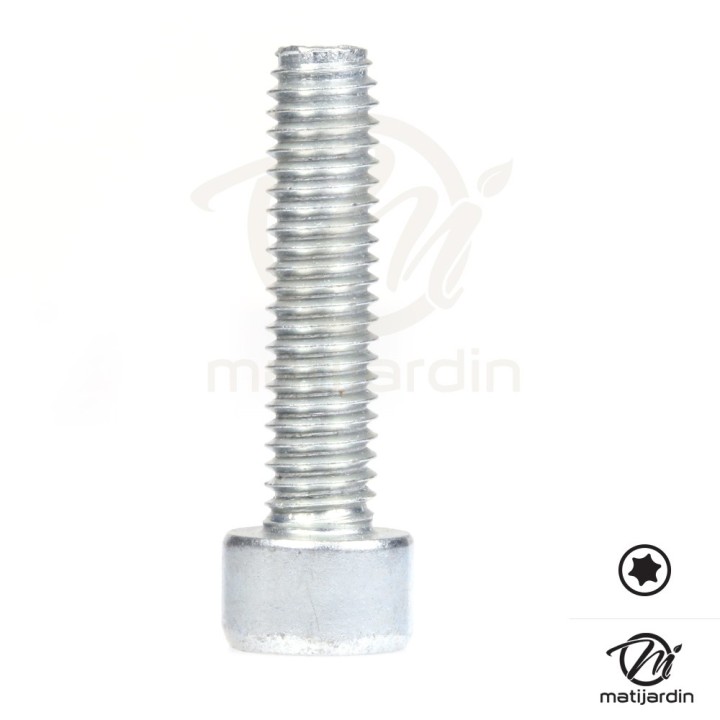 Vis Torx 27 M6 x 25 pour tronçonneuse Stihl MS191 MS192