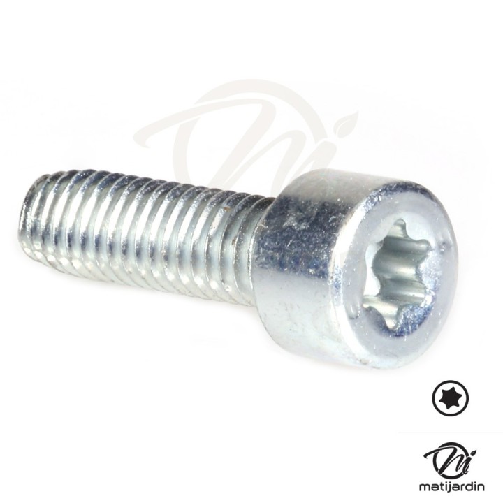 Vis Torx 27 M6 x 20 pour tronçonneuse Stihl MS271