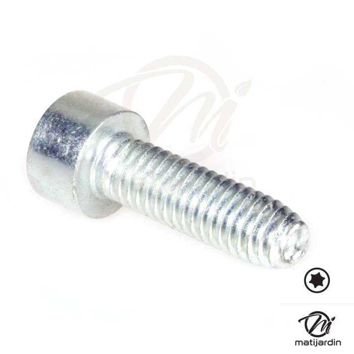 Vis Torx 27 M6 x 20 pour tronçonneuse Stihl MS201T