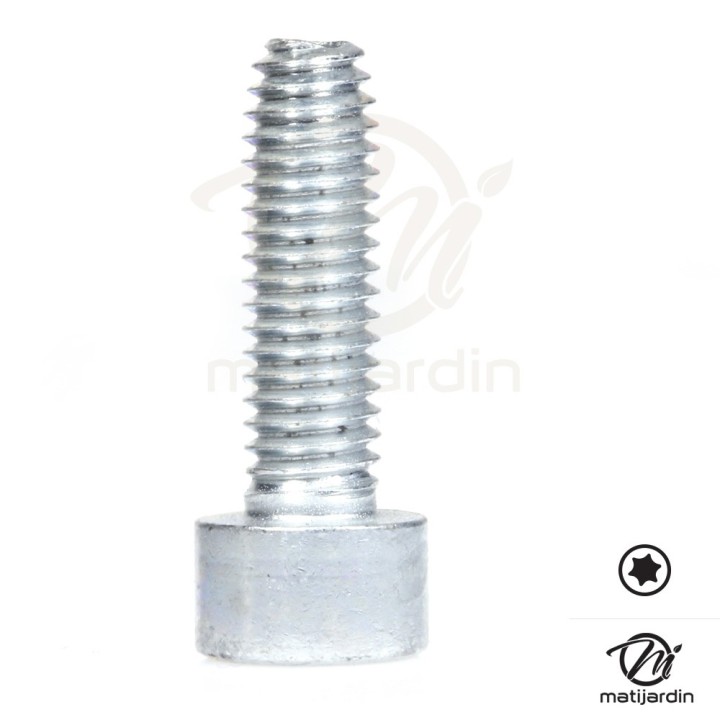 Vis Torx 27 M6 x 20 pour tronçonneuse Stihl MS271