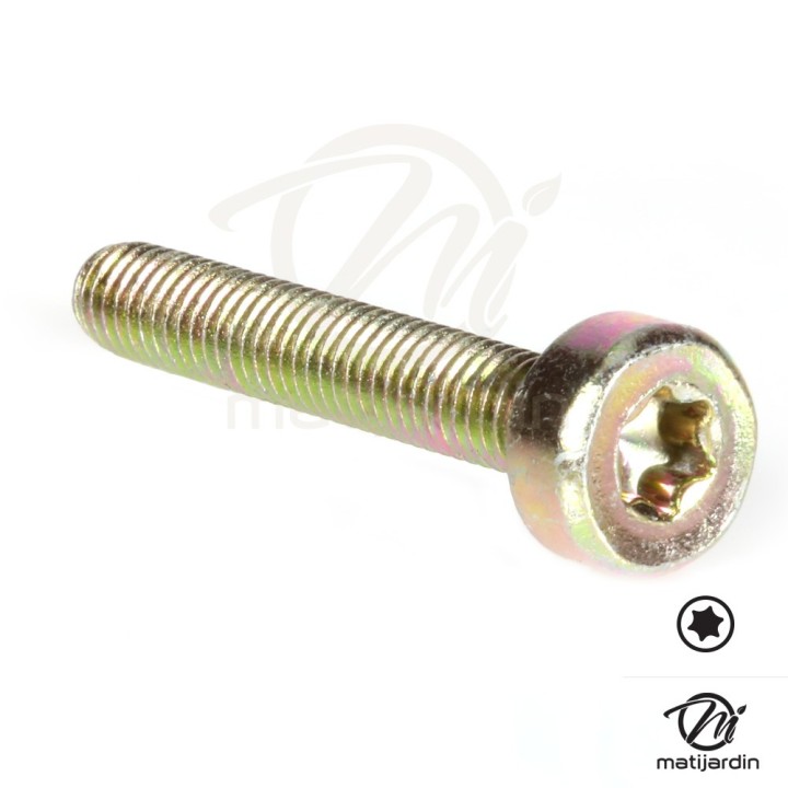 Vis Torx 27 M5 x 30 pour tronçonneuse Stihl MS191 MS192