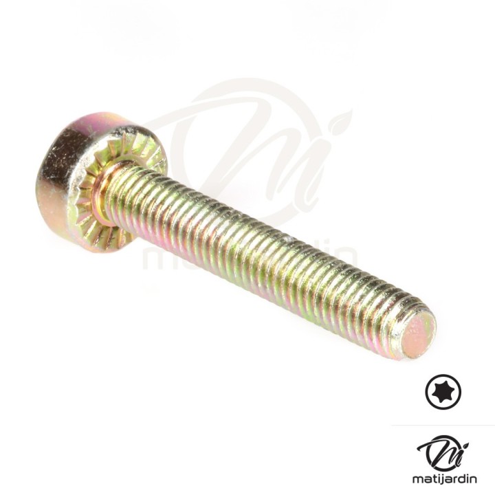 Vis Torx 27 M5 x 30 pour tronçonneuse Stihl 050 051