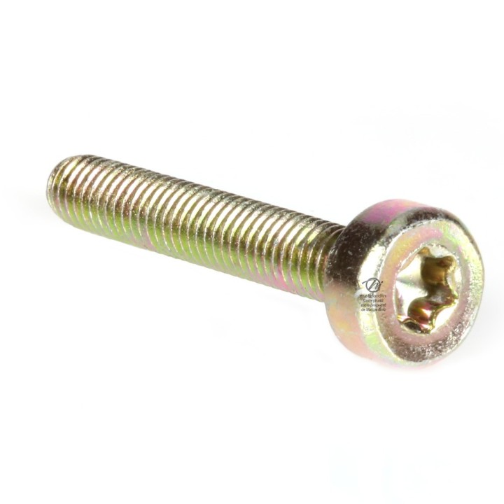 Vis Torx 27 M5 x 30 pour tronçonneuse Stihl MS381