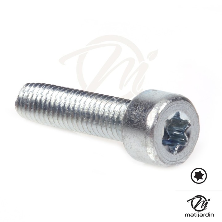 Vis Torx 27 M5 x 20 pour tronçonneuse Stihl 045 056