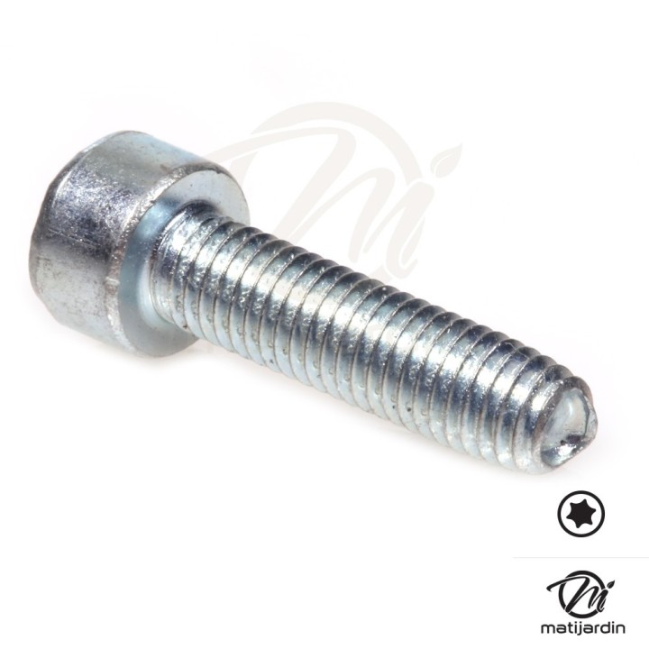 Vis Torx 27 M5 x 20 pour tronçonneuse Stihl MS241