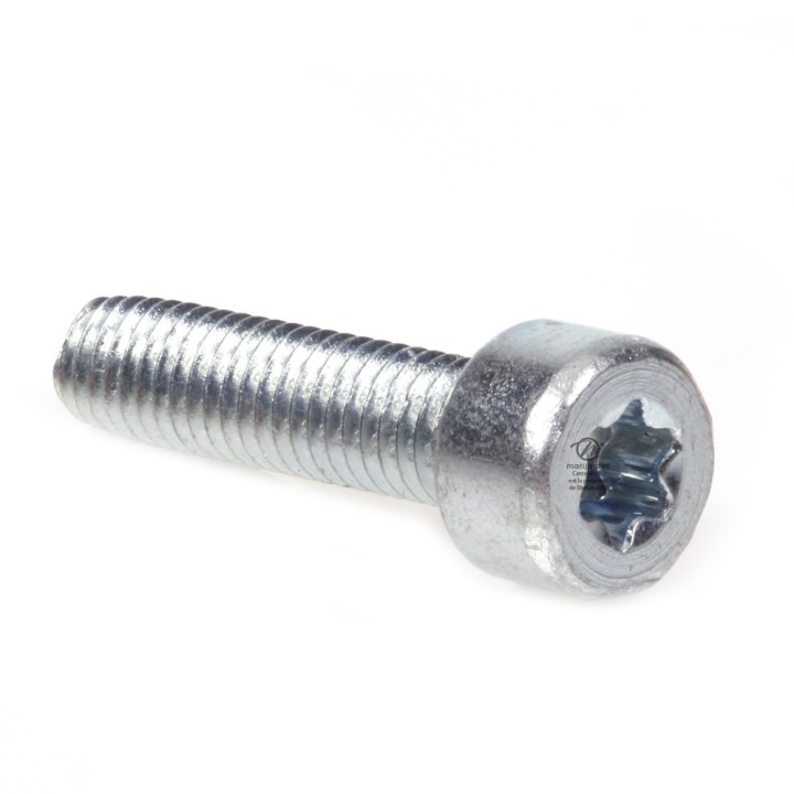 Vis Torx 27 M5 x 20 pour tronçonneuse Stihl 028