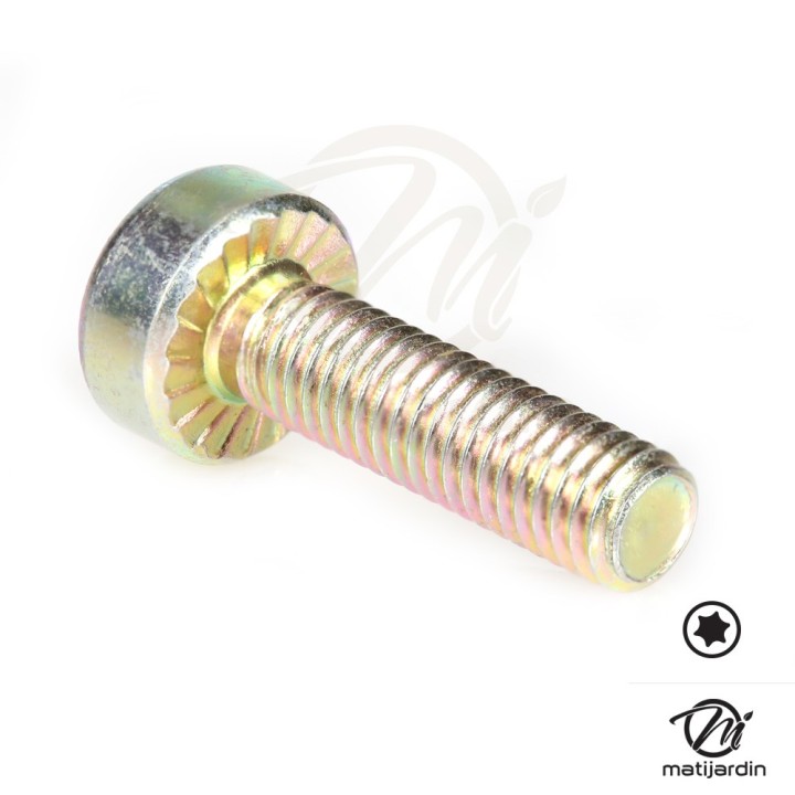 Vis Torx 27 M5 x 18 pour tronçonneuse Stihl MS271