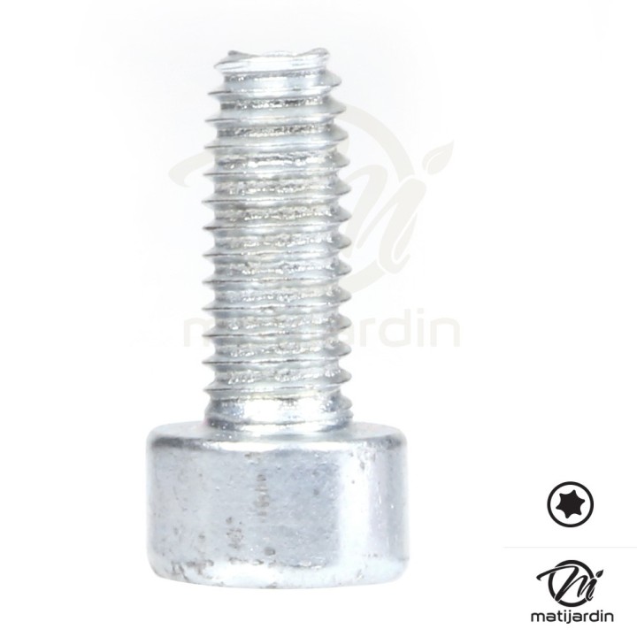 Vis Torx 27 M4 x 10 pour tronçonneuse Stihl MS191 MS192