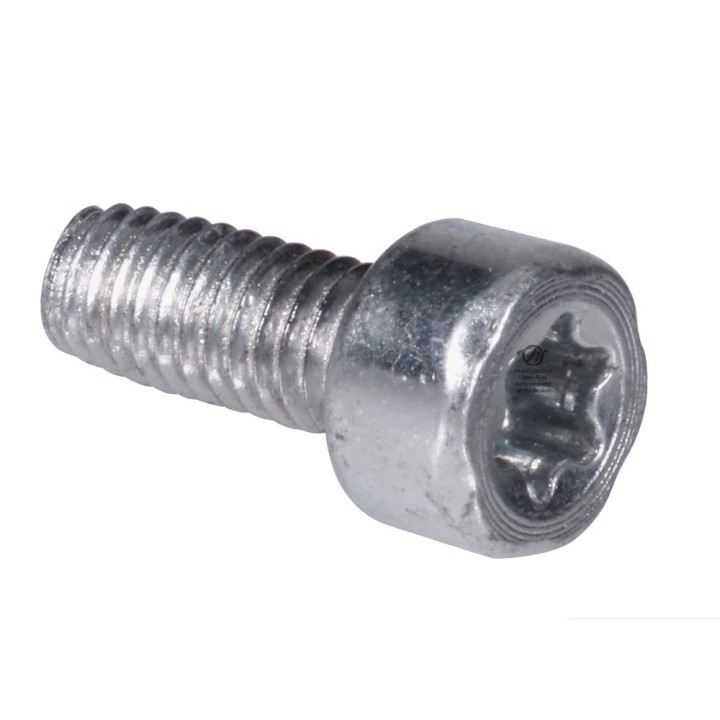 Vis Torx 27 M4 x 10 pour tronçonneuse Stihl MS171 MS181 MS211