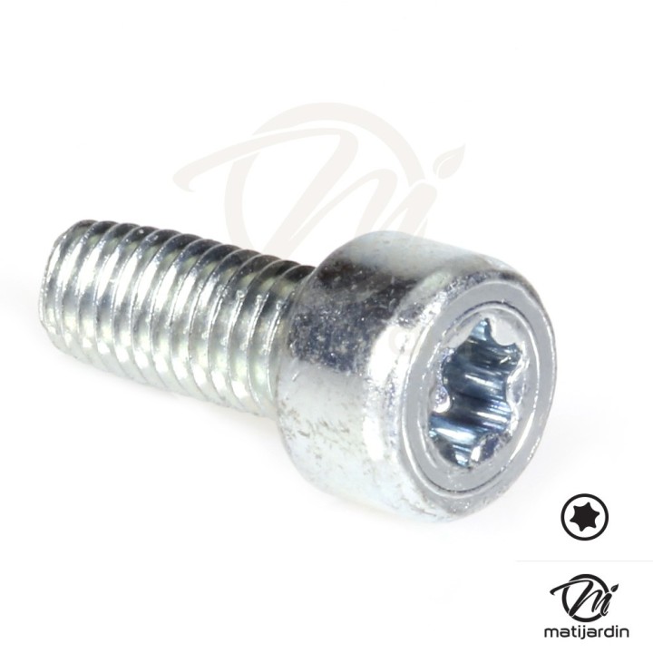 Vis Torx 27 M5 x 12 pour tronçonneuse Stihl 034 MS340