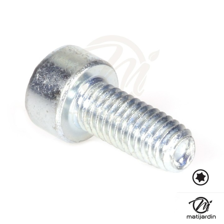 Vis Torx 27 M5 x 12 pour tronçonneuse Stihl MS291