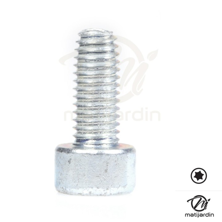 Vis Torx 27 M5 x 12 pour tronçonneuse Stihl 020AV