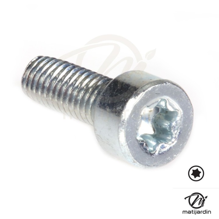Vis Torx 27 M4 x 12 pour tronçonneuse Stihl 075 076