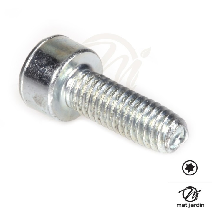 Vis Torx 27 M4 x 12 pour tronçonneuse Stihl 028
