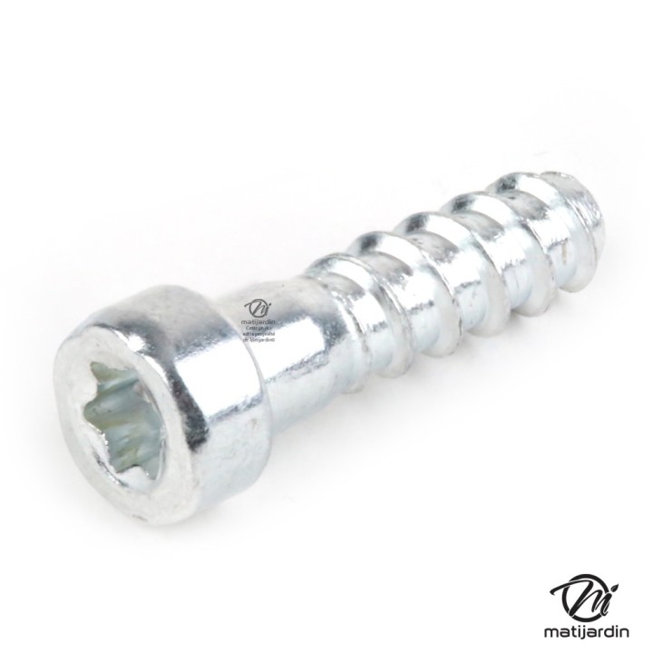 Vis autotaraudeuse de forme cylindrique pour tronçonneuse Stihl 038AV MS380