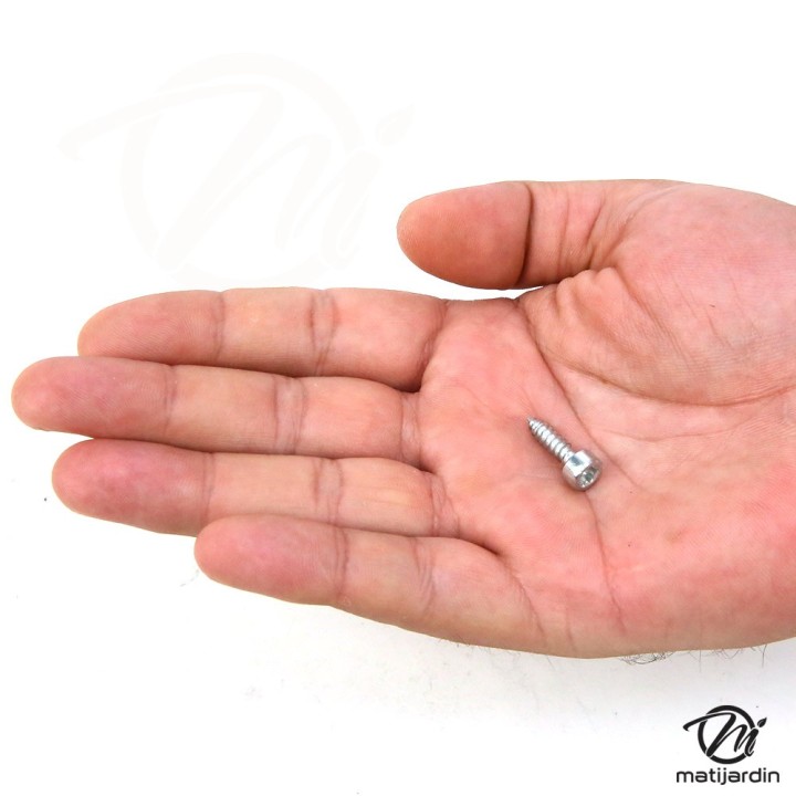 Vis autotaraudeuse de forme cylindrique pour tronçonneuse Stihl MS171 MS181 MS211